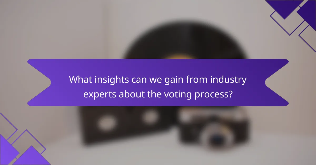 What insights can we gain from industry experts about the voting process?