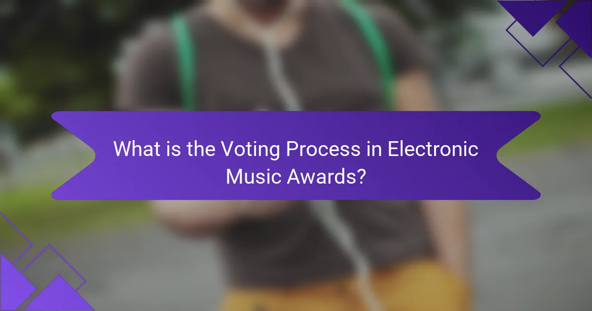 What is the Voting Process in Electronic Music Awards?