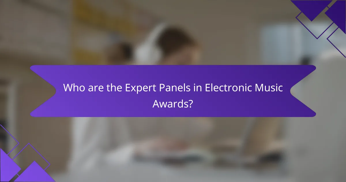 Who are the Expert Panels in Electronic Music Awards?